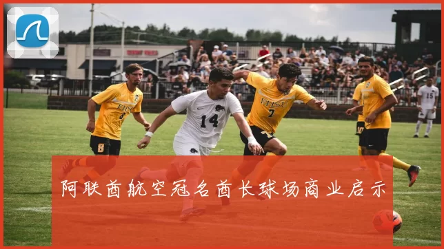 阿联酋航空冠名酋长球场商业启示