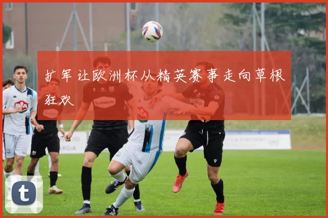 扩军让欧洲杯从精英赛事走向草根狂欢