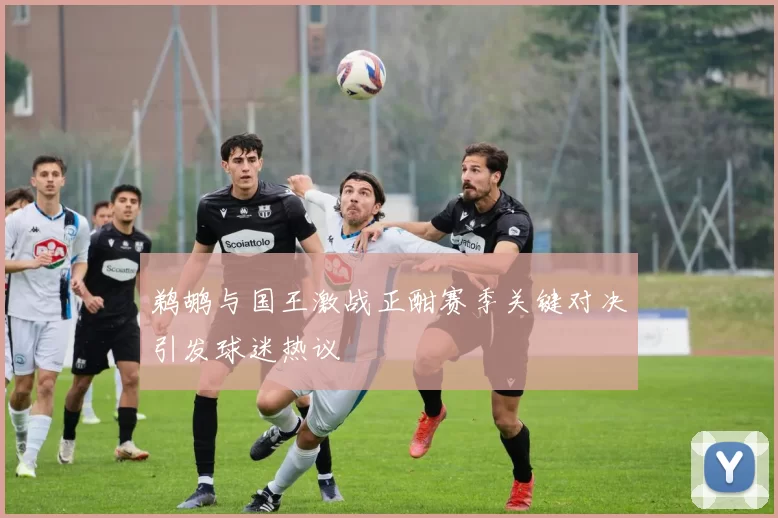 鹈鹕与国王激战正酣赛季关键对决引发球迷热议