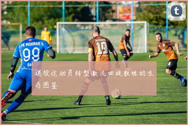 退役运动员转型激流回旋教练的生存图鉴