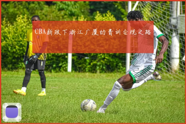 CBA新政下浙江广厦的青训合规之路