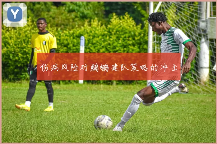 伤病风险对鹈鹕建队策略的冲击