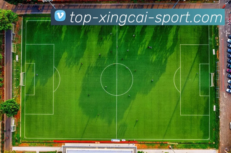 杏彩官网APP 体育赛事宣传图